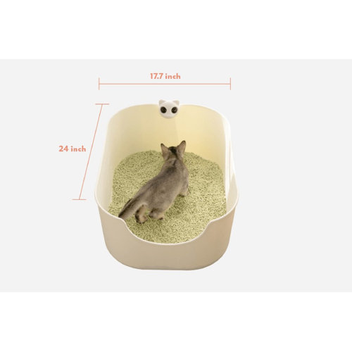 Tucker Murphy Pet™ Duguay Plastic Standard Litter Box & Reviews Wayfair